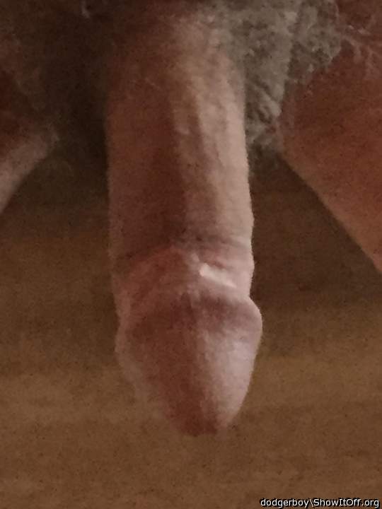 Photo of a cock from dodgerboy