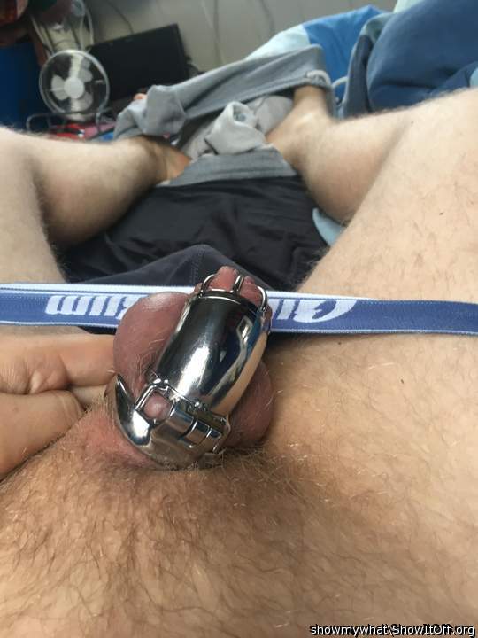 Metal chastity cage