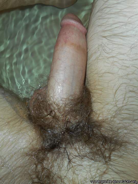 My dick when wet