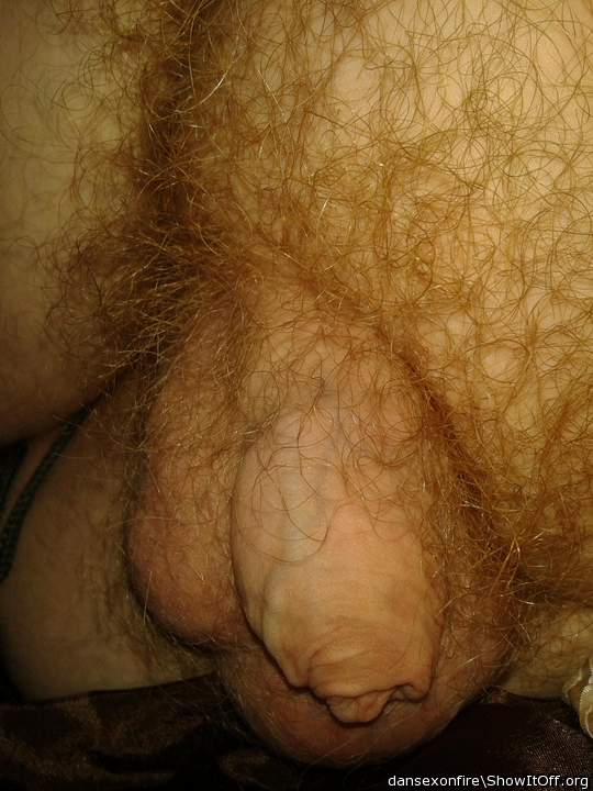    perfect cock and foreskin