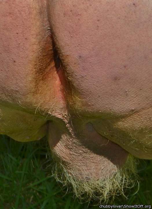 my unwashed dirty butthole needs a hard cock