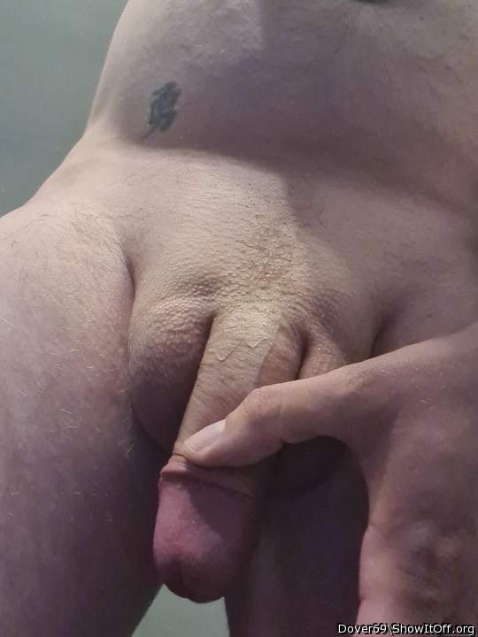 Photo of a penis from Dover69