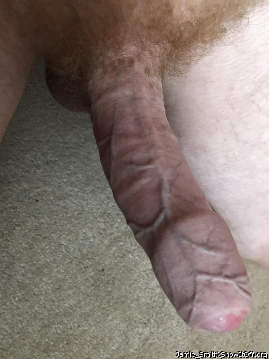 Wonderful view of your hard, veined and uncut cock.