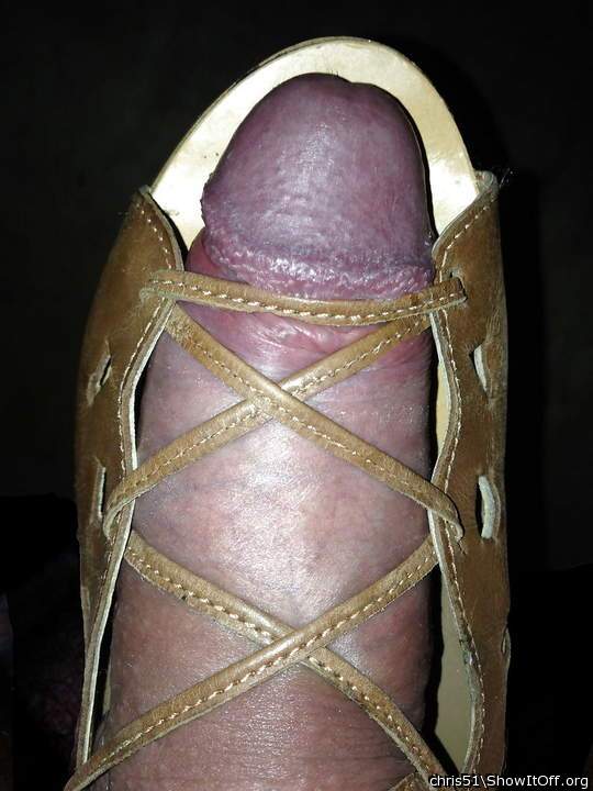 Laced up inside one of my wifes shoes