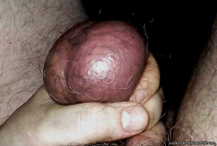 Testicles 2