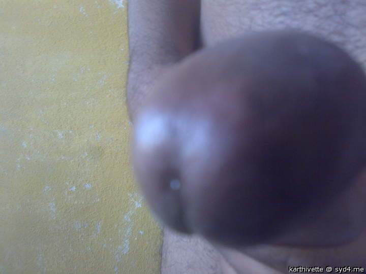 Photo of a middle leg from karthivette