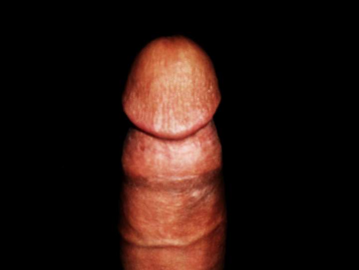 Photo of a cock from darklatino