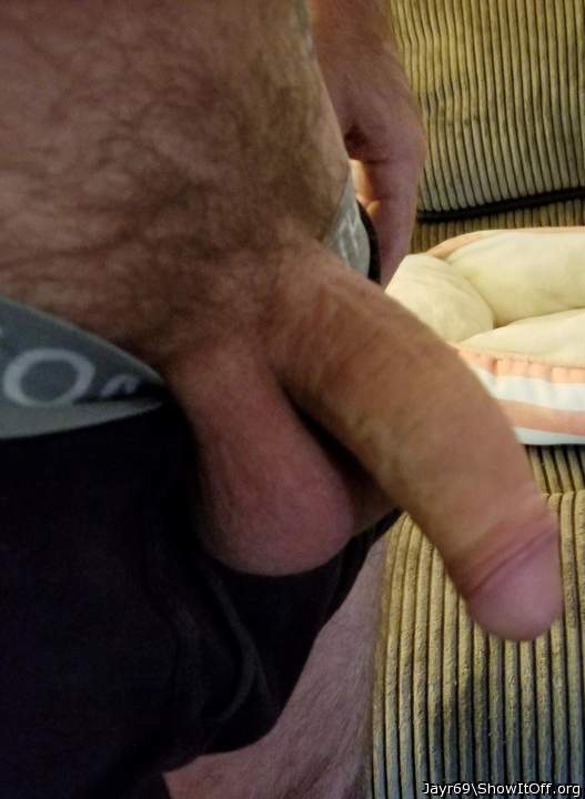 Photo of a boner from JayR69