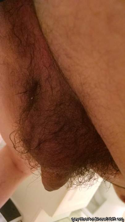 mmmm...sexy close-up of your hairy ballsack and anus!! 