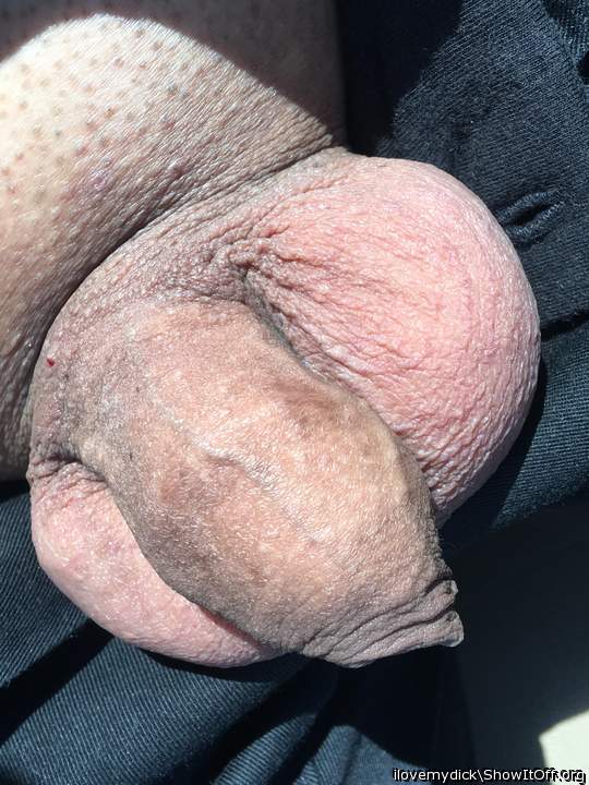 Photo of a bat from ilovemydick