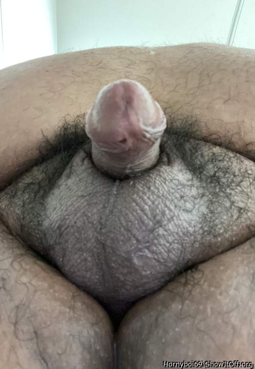 Photo of a snake from Hornyboi69