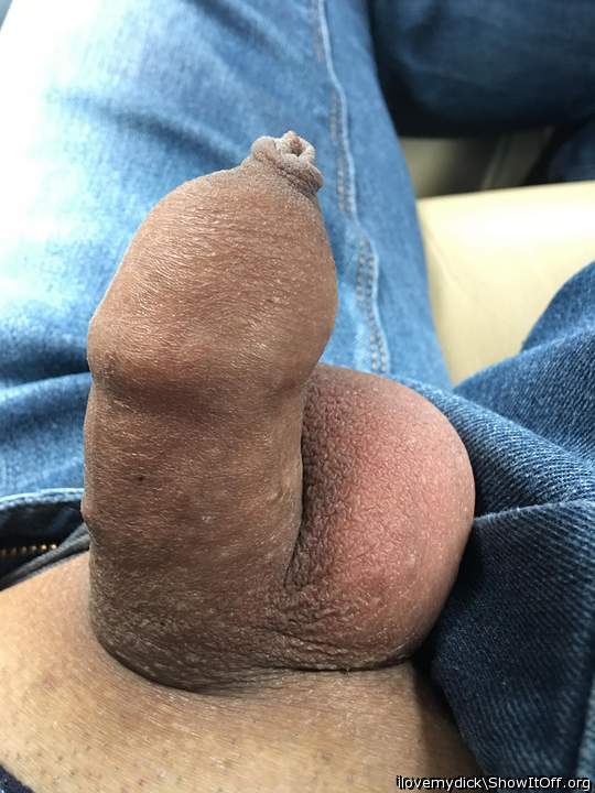 Photo of a weasel from ilovemydick