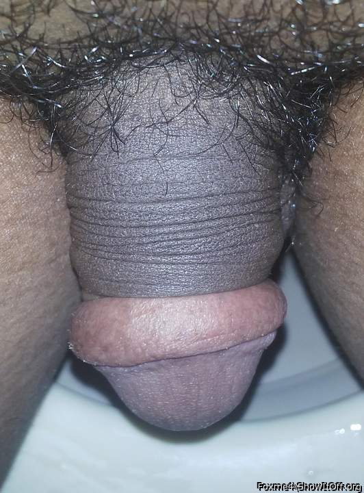 Photo of a private part from Foxme4