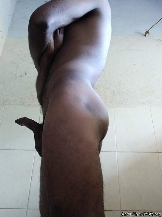 Photo of a short leg from Andii