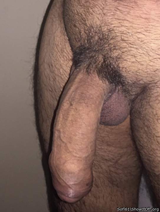 What a superb cock. Love the glans just peeking out from you