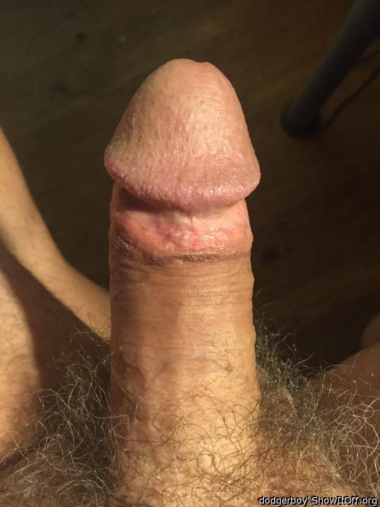 Photo of a dick from dodgerboy