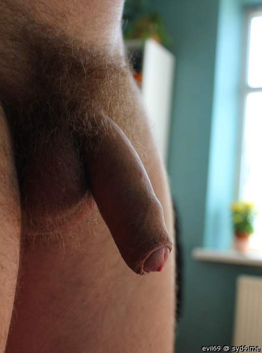 Photo of a dick from evil69