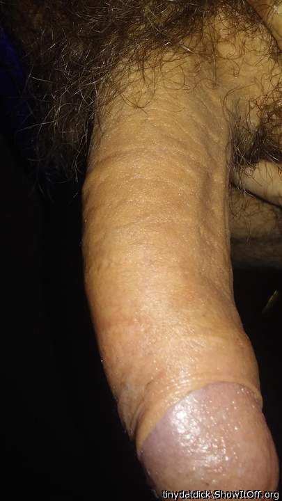 Photo of a boner from tinydatdick
