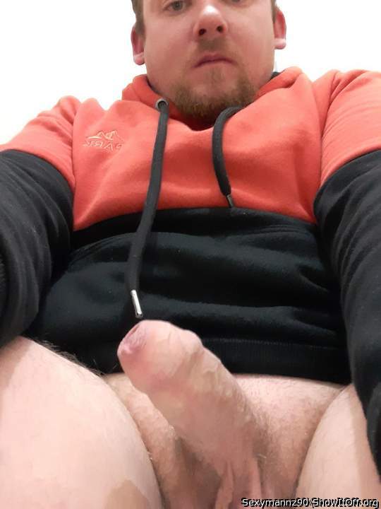 Photo of a cavalier from Sexymannz90