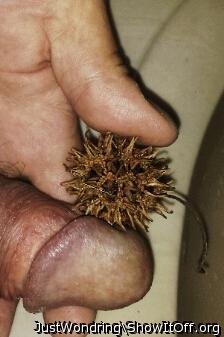 Would love to put the sweet gum ball in your foreskin... may