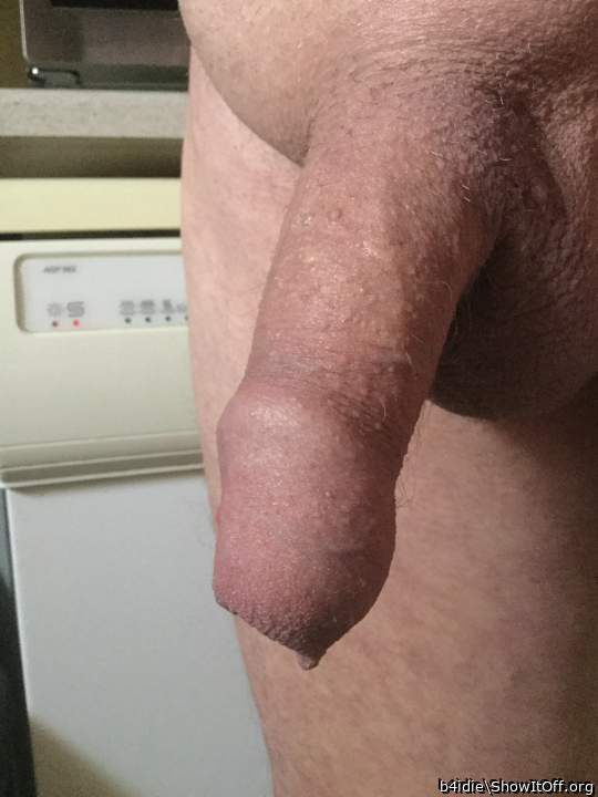 Very attractive uncircumcised cock 