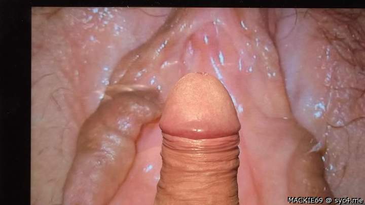 virtueel on the pussy of my wife 7