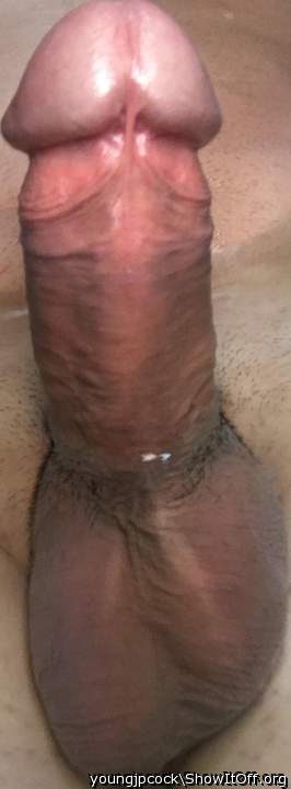 Photo of a pecker from youngjpcock