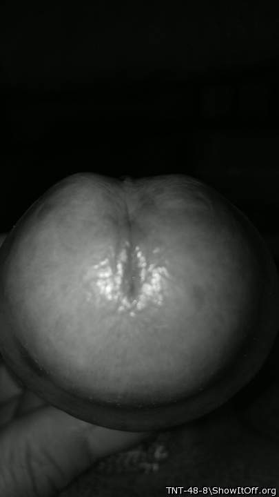 Photo of a penis from TNT-48-8