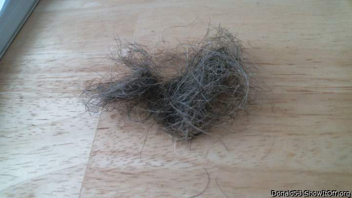 this is the pubic hair that came of-smells nice too