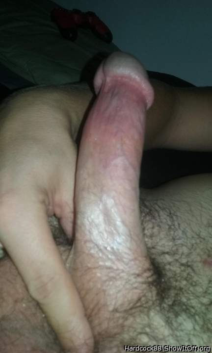Photo of a cock from Hardcock88