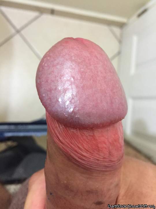 Photo of a cock from DarthDick