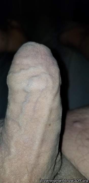 Huge veiny cock and foreskin 