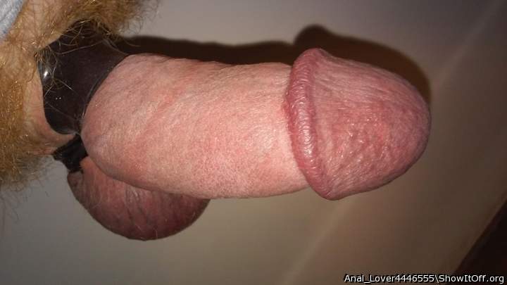 Photo of a penile from Anal_Lover4446555