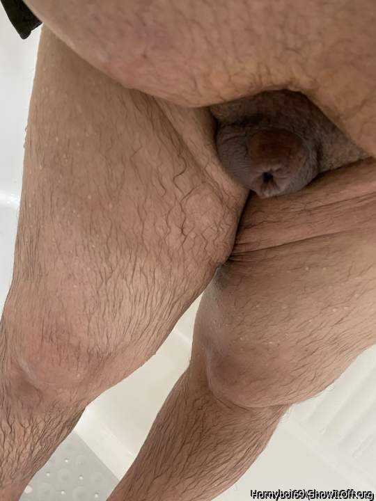 Photo of a bat from Hornyboi69