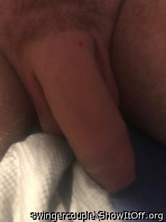 Photo of a horn from Swingercouple
