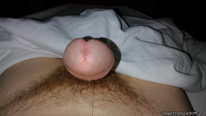 Photo of a penis from mikell33