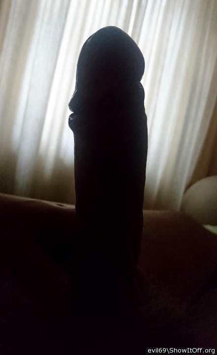 Photo of a penis from evil69