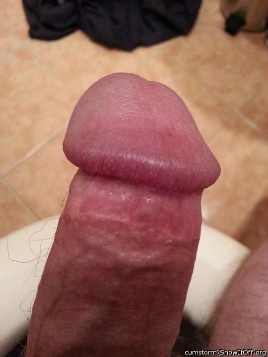 This dick wants to be sucked,  who's up for it?
