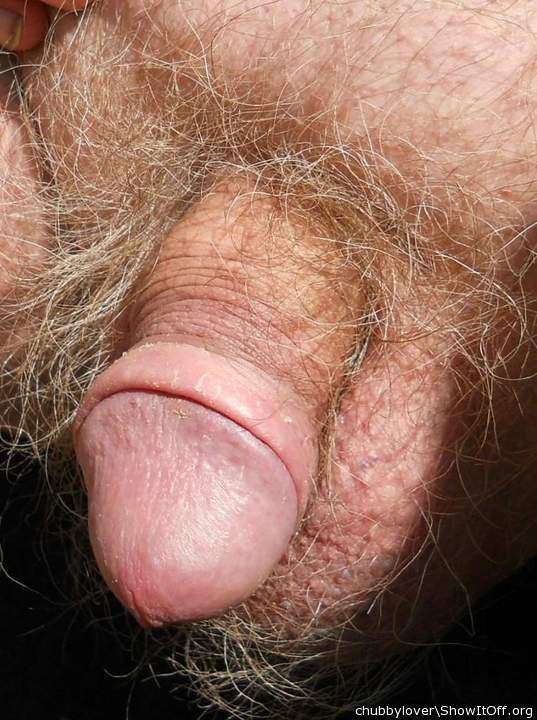 my soft dick, old and hairy