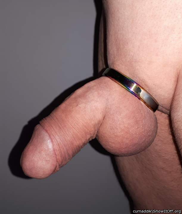 My horny cock with ring