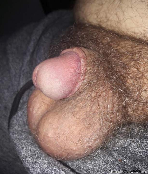 Would love to suck it    