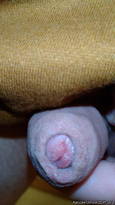 Photo of a meat stick from Aaccee