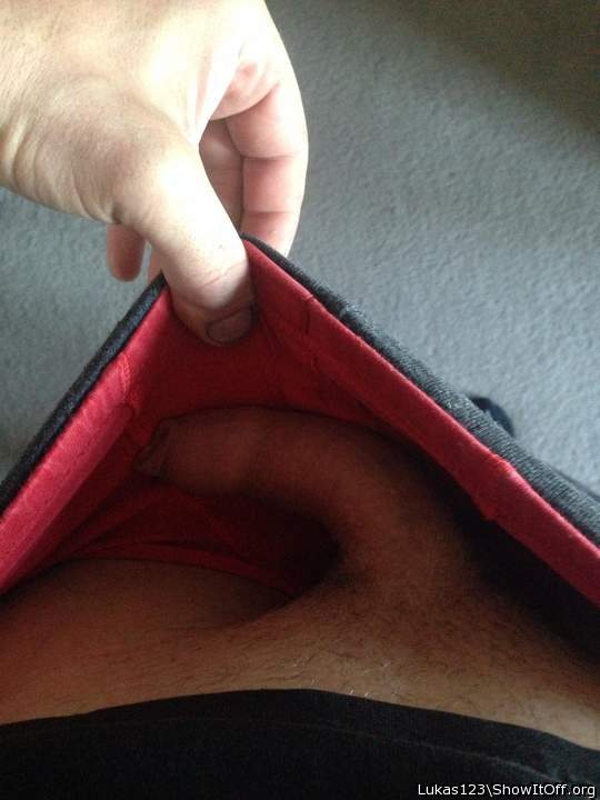 Photo of a penis from Lukas123