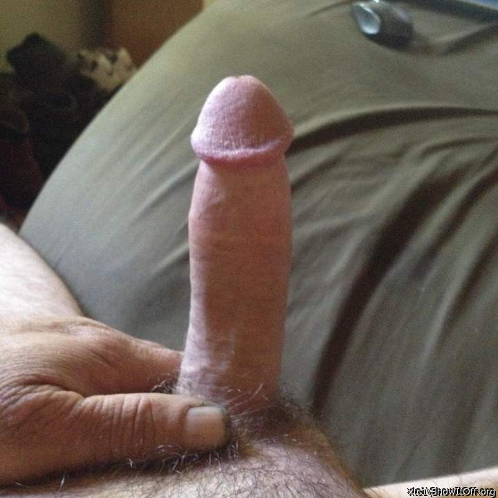 A fine looking cock 