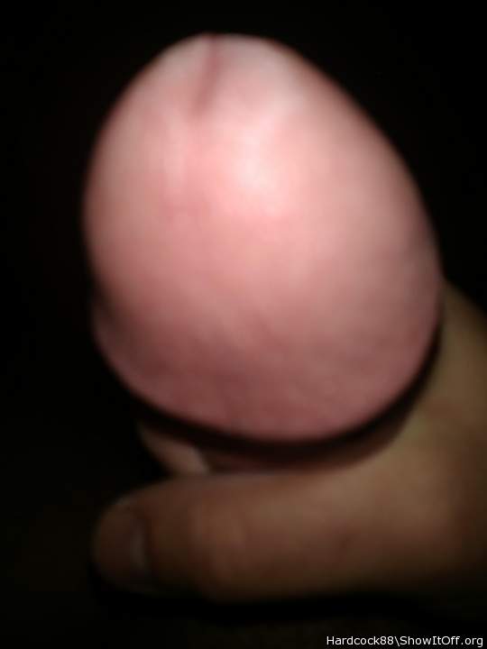 Photo of a pecker from Hardcock88