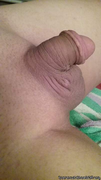 Rasiert, shaved Cut penis