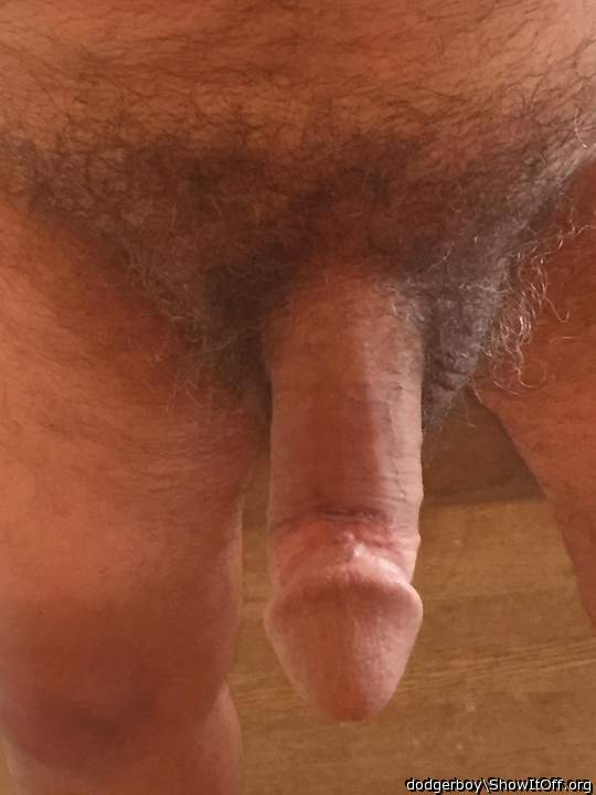 Photo of a cock from dodgerboy