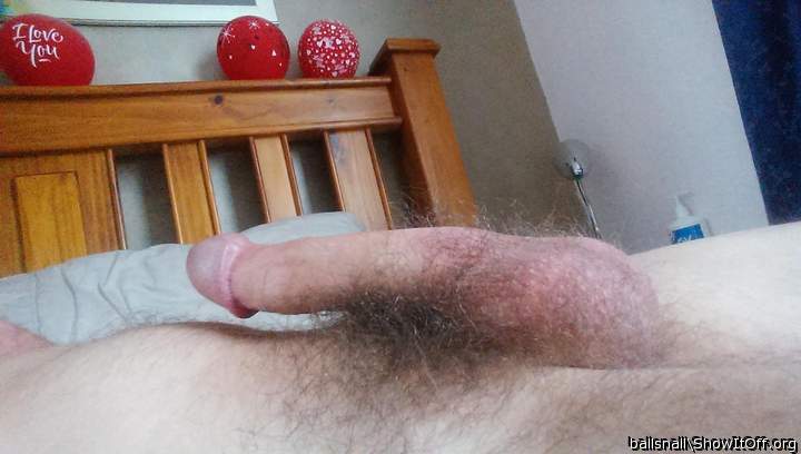 awesome erection! hot looking pubic hair 
