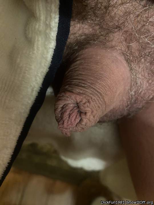 Photo of a meat stick from DickFun1981
