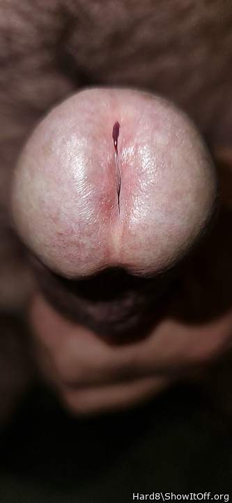 Photo of a cock from Hard8